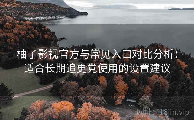 柚子影视官方与常见入口对比分析：适合长期追更党使用的设置建议