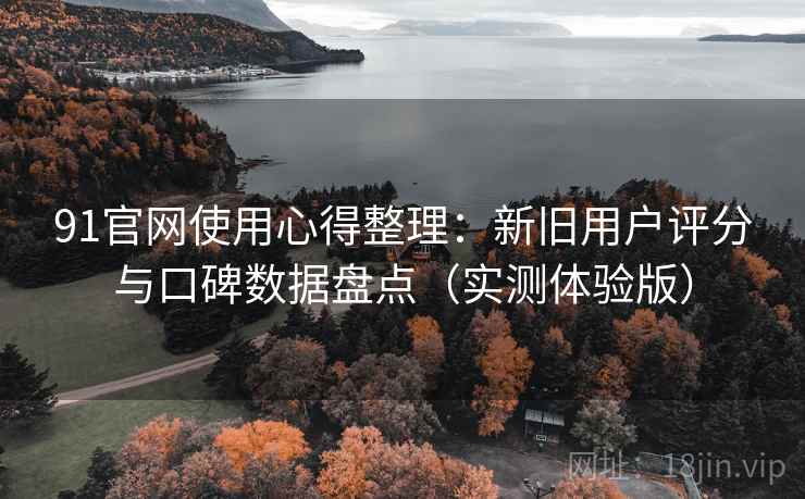 91官网使用心得整理：新旧用户评分与口碑数据盘点（实测体验版）