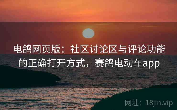 电鸽网页版：社区讨论区与评论功能的正确打开方式，赛鸽电动车app