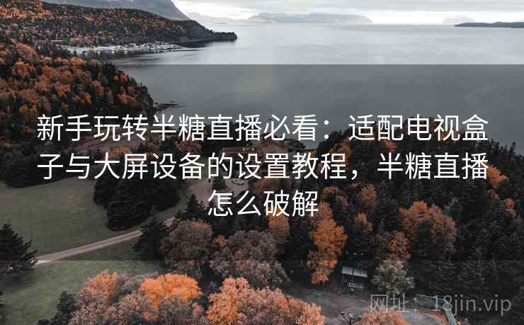 新手玩转半糖直播必看：适配电视盒子与大屏设备的设置教程，半糖直播怎么破解