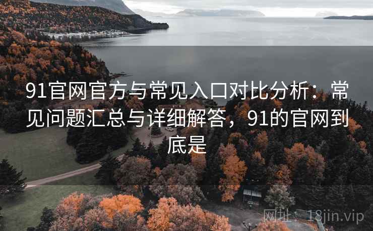 91官网官方与常见入口对比分析：常见问题汇总与详细解答，91的官网到底是
