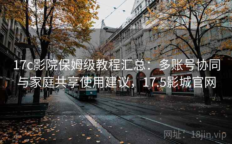 17c影院保姆级教程汇总：多账号协同与家庭共享使用建议，17.5影城官网
