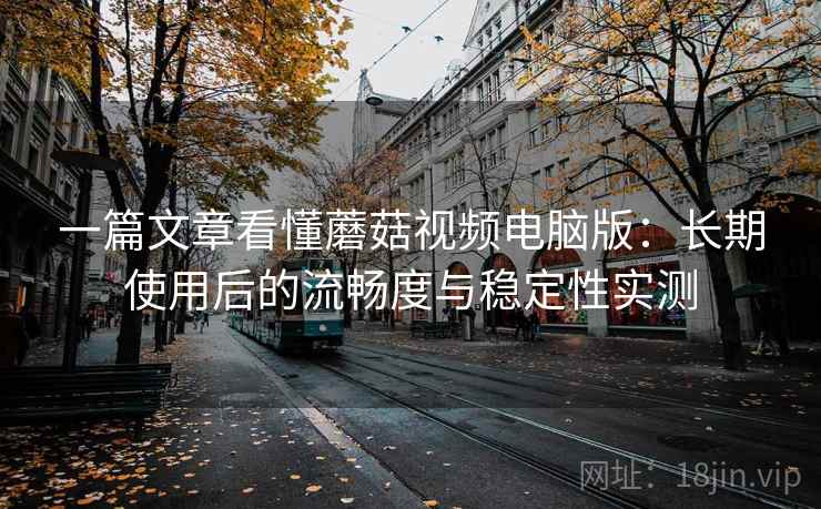一篇文章看懂蘑菇视频电脑版：长期使用后的流畅度与稳定性实测