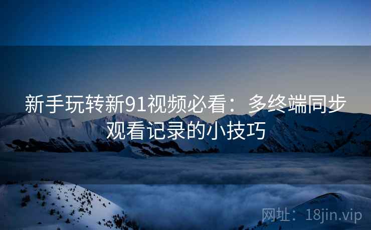 新手玩转新91视频必看：多终端同步观看记录的小技巧