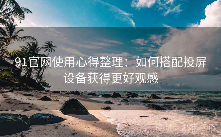 91官网使用心得整理：如何搭配投屏设备获得更好观感