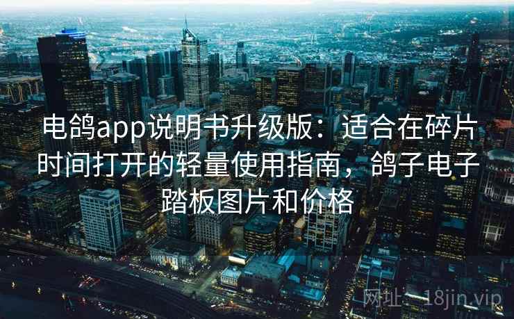 电鸽app说明书升级版：适合在碎片时间打开的轻量使用指南，鸽子电子踏板图片和价格