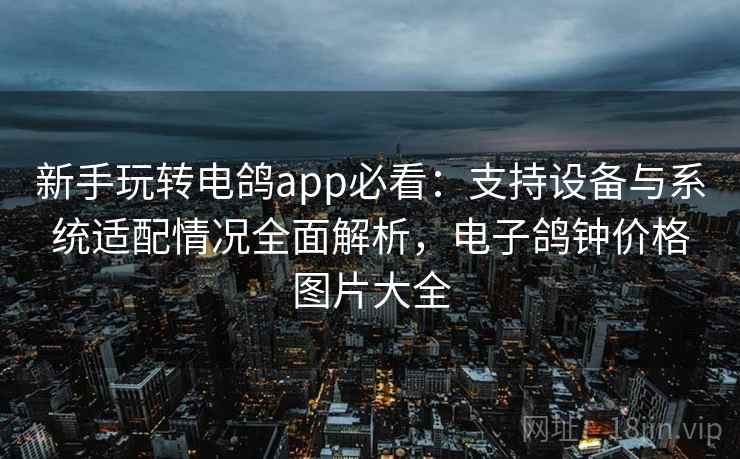 新手玩转电鸽app必看：支持设备与系统适配情况全面解析，电子鸽钟价格图片大全