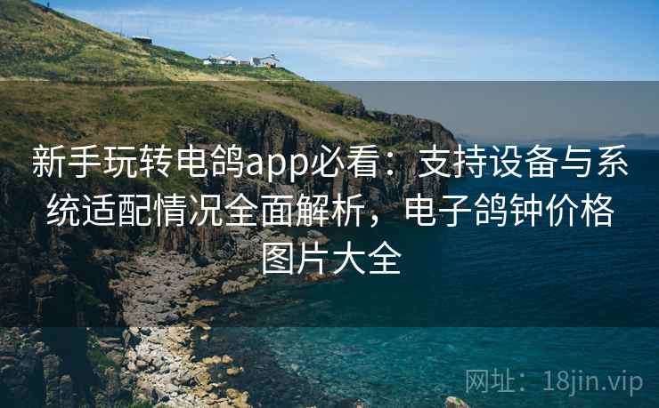 新手玩转电鸽app必看：支持设备与系统适配情况全面解析，电子鸽钟价格图片大全