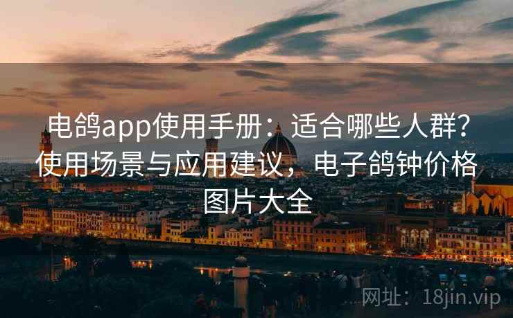 电鸽app使用手册：适合哪些人群？使用场景与应用建议，电子鸽钟价格图片大全