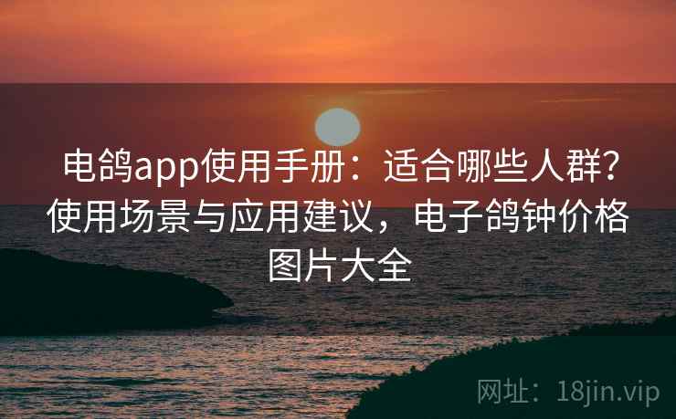 电鸽app使用手册:适合哪些人群?使用场景与应用建议,电子鸽钟价格图片大全 电鸽app使用手册:适合哪些人群?使用场景与应用建议,电子鸽钟价格图片大全