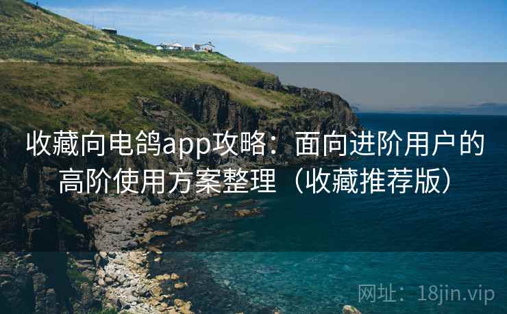 收藏向电鸽app攻略:面向进阶用户的高阶使用方案整理(收藏推荐版) 收藏向电鸽app攻略:面向进阶用户的高阶使用方案整理(收藏推荐版)