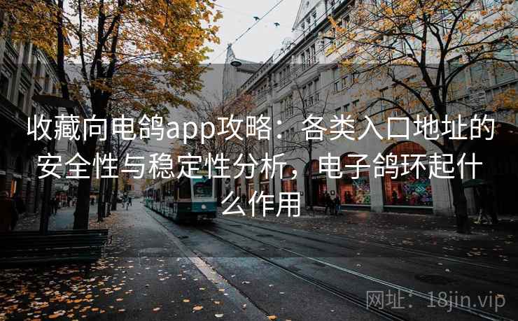 收藏向电鸽app攻略:各类入口地址的安全性与稳定性分析,电子鸽环起什么作用 收藏向电鸽app攻略:各类入口地址的安全性与稳定性分析,电子鸽环起什么作用
