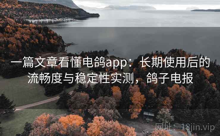 一篇文章看懂电鸽app:长期使用后的流畅度与稳定性实测,鸽子电报 一篇文章看懂电鸽app:长期使用后的流畅度与稳定性实测,鸽子电报