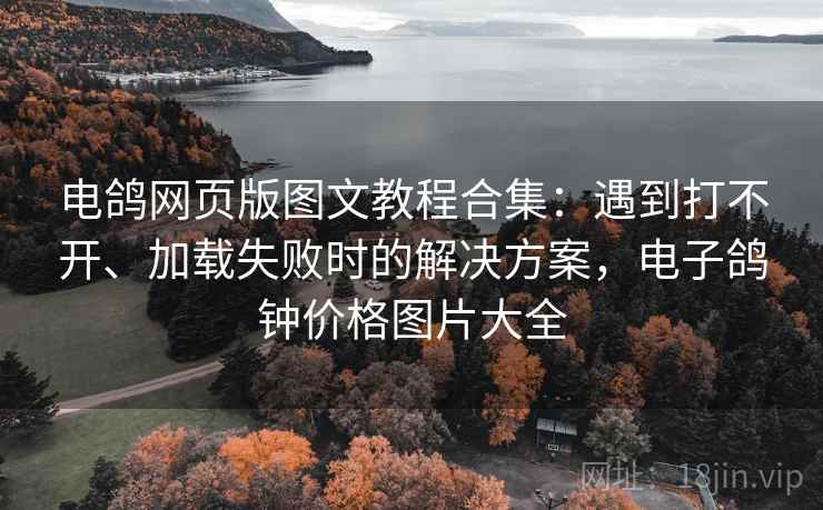电鸽网页版图文教程合集:遇到打不开、加载失败时的解决方案,电子鸽钟价格图片大全 电鸽网页版图文教程合集:遇到打不开、加载失败时的解决方案,电子鸽钟价格图片大全